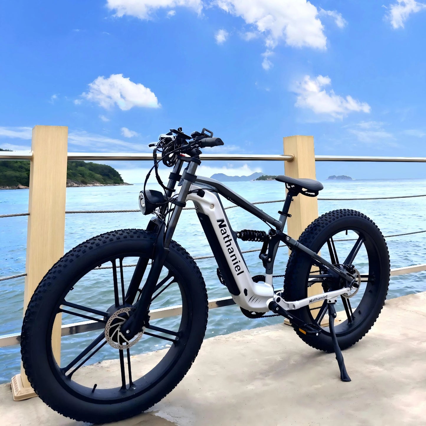 Bicicleta eléctrica Nathaniel SYR09 26*4,0, rueda integrada de doble motor de 2000W, 48V 20Ah, absorción de impactos ajustable, adecuada para ser